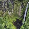 Life Source - Drone Photo of Tahiti rain forest
